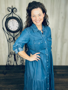Kristen Chambray & Snaps Dress