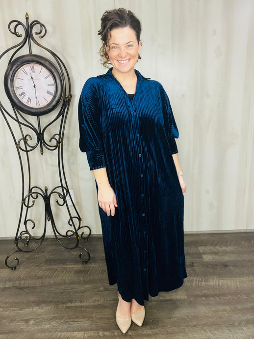 Winter Love Navy Velvet Button Front Dress